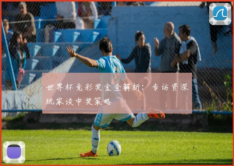 世界杯竞彩奖金全解析:专访资深玩家谈中奖策略