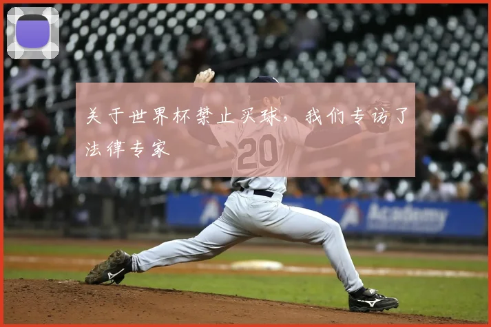 关于世界杯禁止买球,我们专访了法律专家