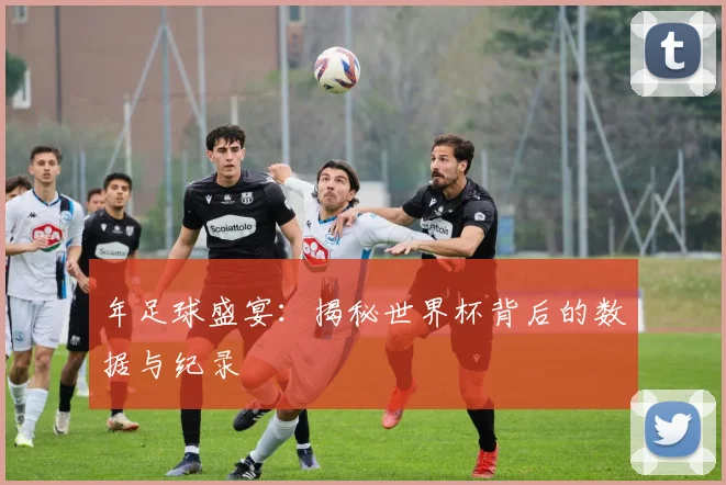 年足球盛宴:揭秘世界杯背后的数据与纪录