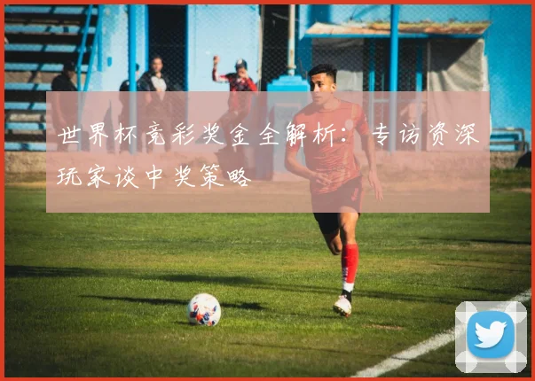 世界杯竞彩奖金全解析:专访资深玩家谈中奖策略