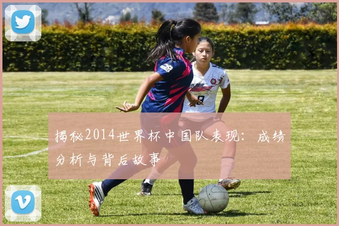 揭秘2014世界杯中国队表现：成绩分析与背后故事
