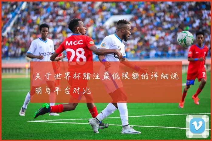关于世界杯赌注最低限额的详细说明与平台对比