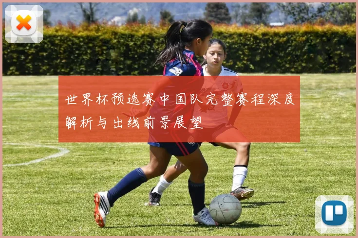 世界杯预选赛中国队完整赛程深度解析与出线前景展望