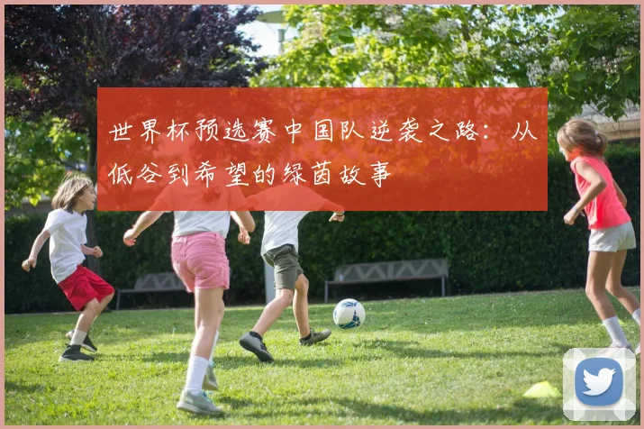 世界杯预选赛中国队逆袭之路：从低谷到希望的绿茵故事