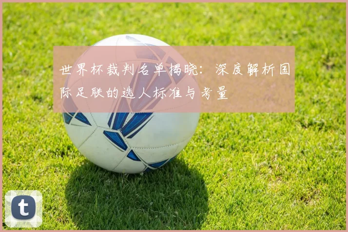 世界杯裁判名单揭晓：深度解析国际足联的选人标准与考量