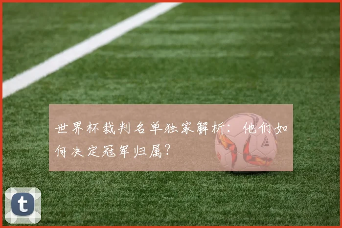 世界杯裁判名单独家解析：他们如何决定冠军归属？