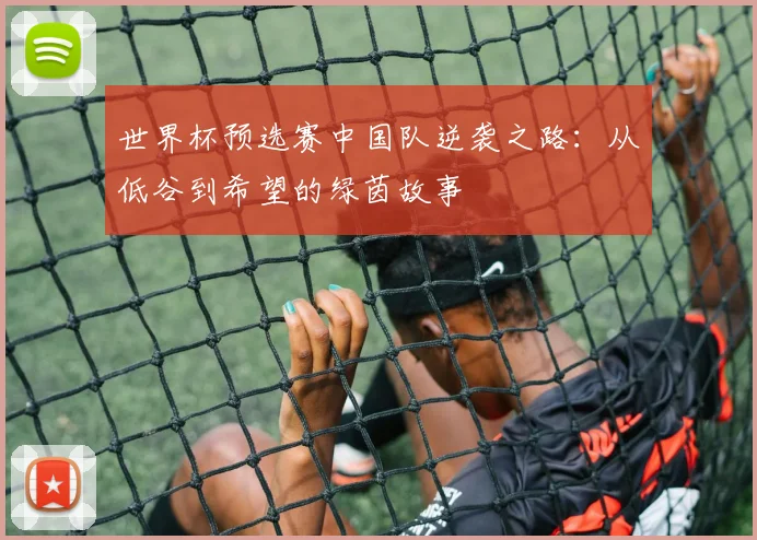 世界杯预选赛中国队逆袭之路：从低谷到希望的绿茵故事