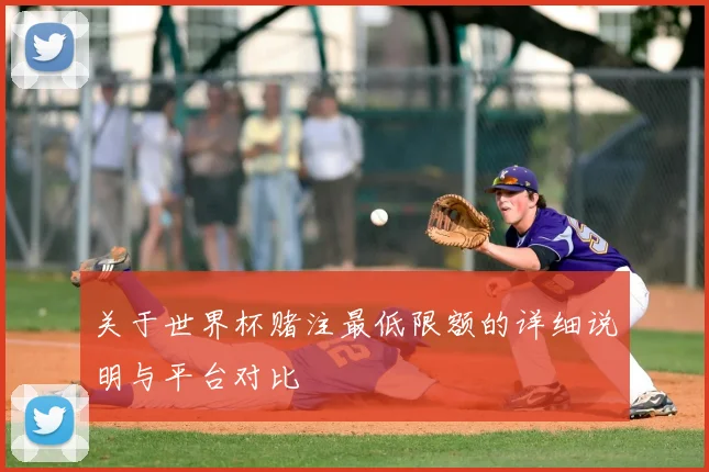关于世界杯赌注最低限额的详细说明与平台对比