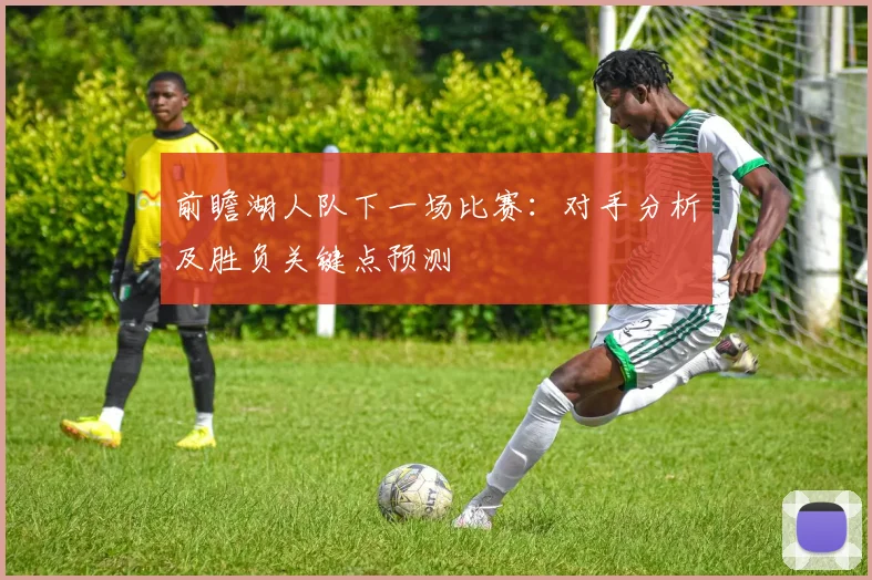 前瞻湖人队下一场比赛：对手分析及胜负关键点预测